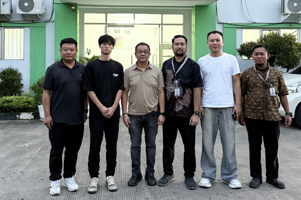 Línea de producción de desmoldeo de latas de Teyun instalada en Indonesia